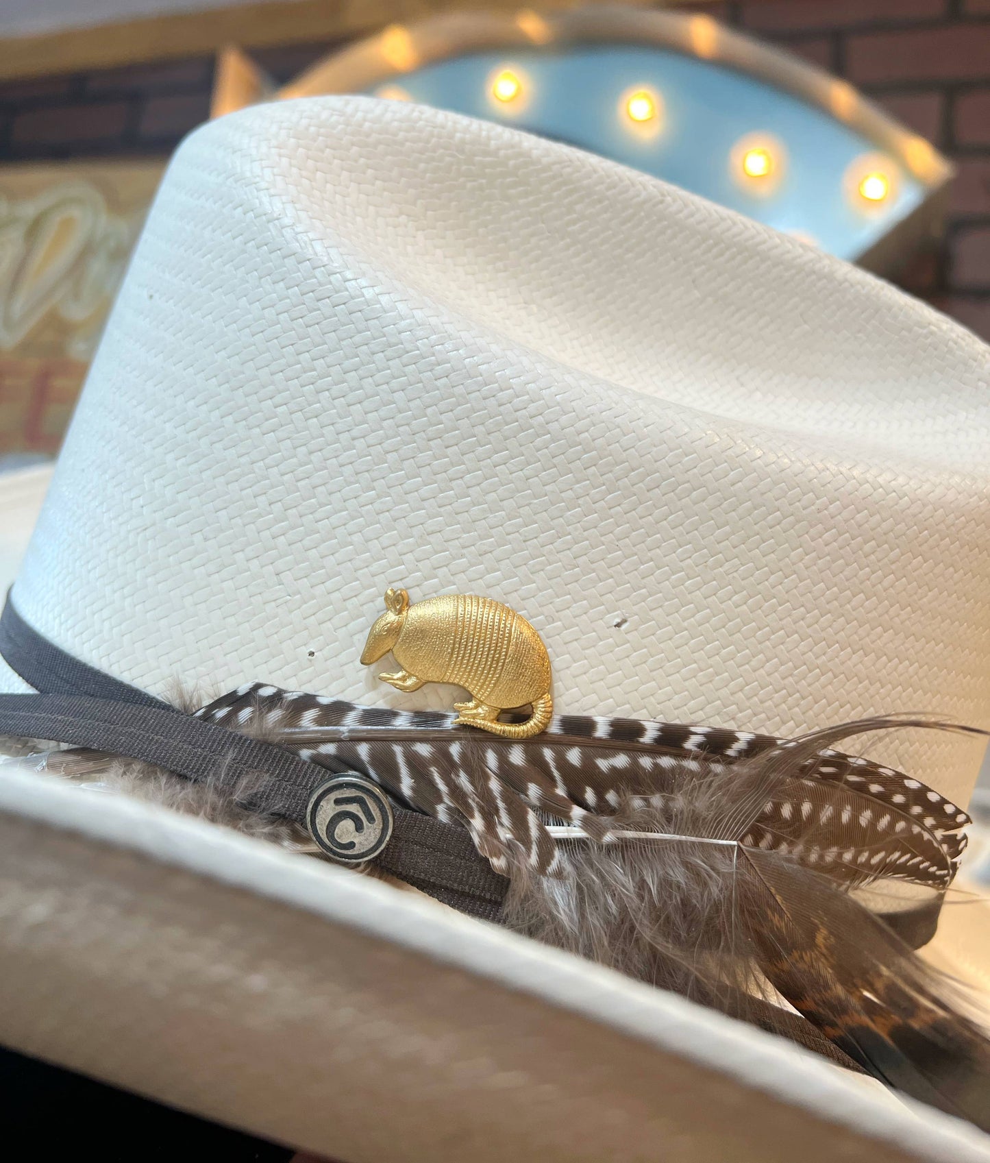 Aged Brass Armadillo Western Hat Pin Hat Bar