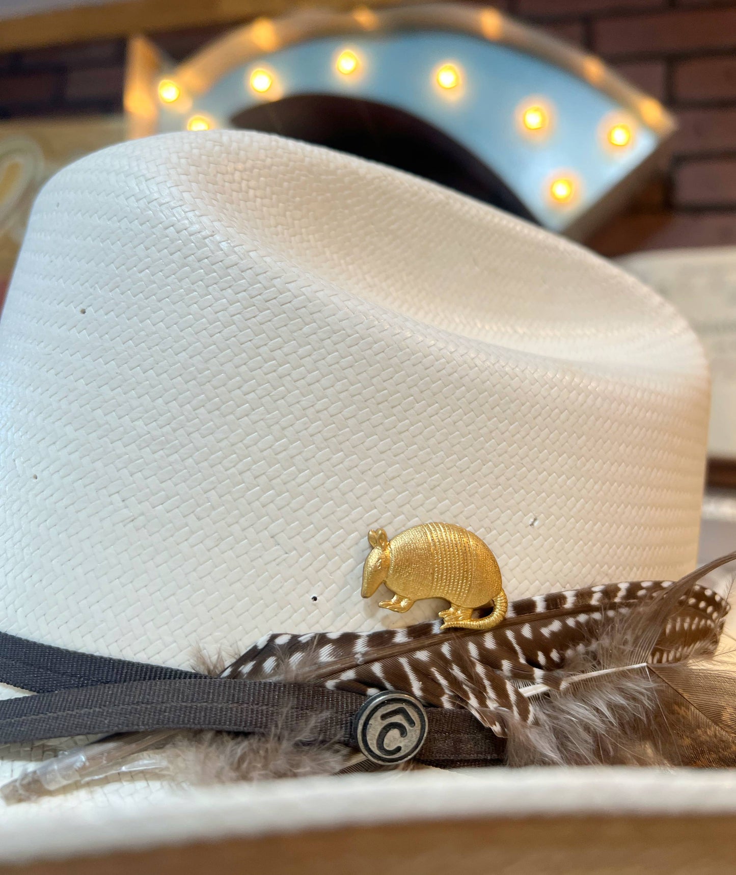 Aged Brass Armadillo Western Hat Pin Hat Bar